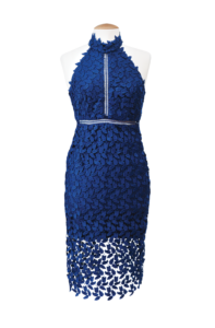 dressblueleavescmykjmore-nov2016-1