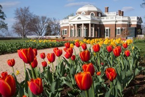 travel-monticello_spring_dinner_13apr2015_jlooney_0013_e5a6fc82-d177-4679-ae0d-452cd8ca4cd2