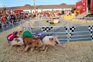 MD State Fair