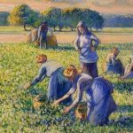 “Picking Peas” by Camille Pissarro