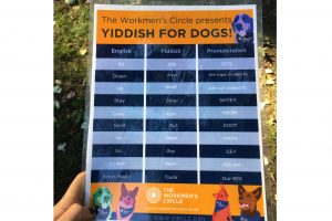 Yiddish for dogs